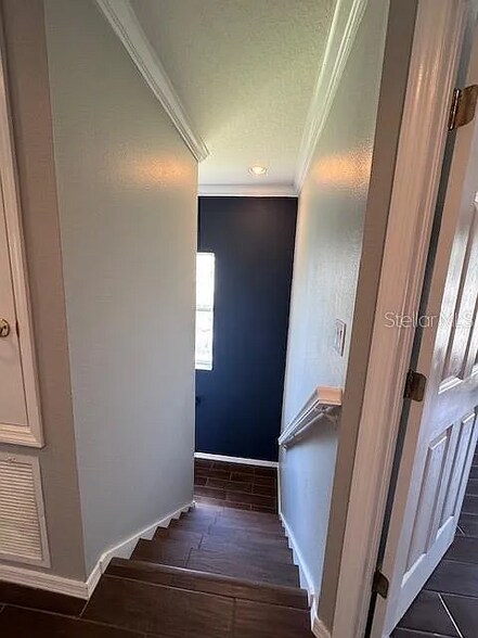 Building Photo - 11641 Declaration Dr