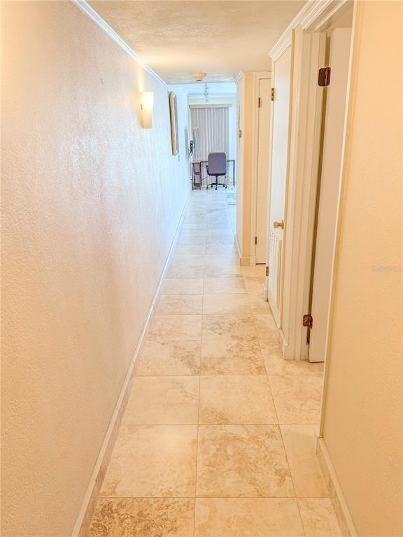 Building Photo - 2506 N Rocky Point Dr