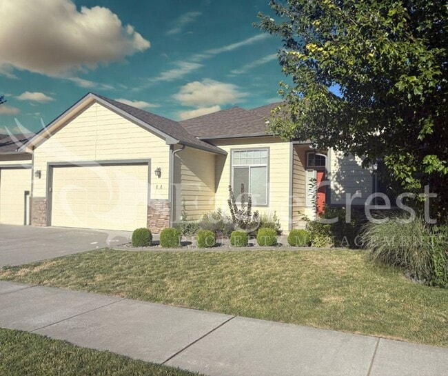 Primary Photo - Three Bedroom, Two Bathroom House in Chape...