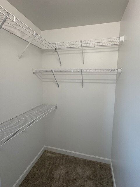 Building Photo - 2943 Kinsey Loop