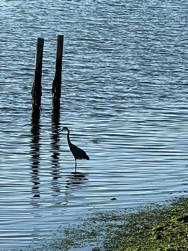 Building Photo - 975 CA-1