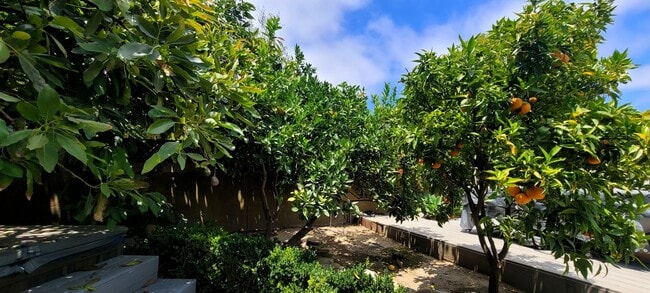 Building Photo - Midtown Ventura 3+2 Single Family Home $52...