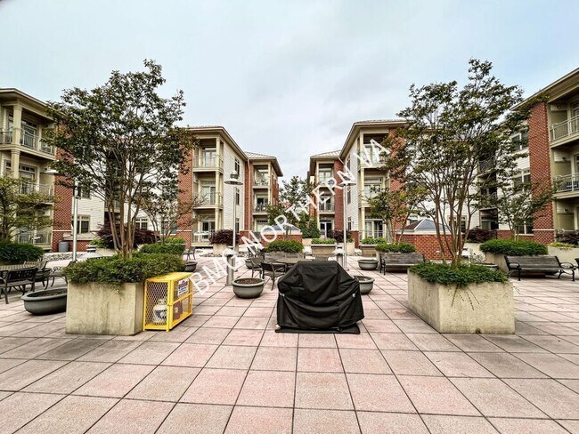 Building Photo - 309 Holland Ln
