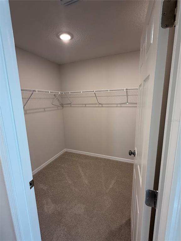 Building Photo - 1241 Tidal St