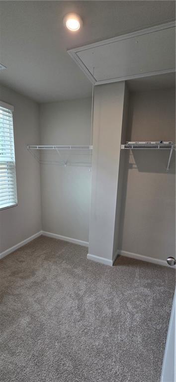 Building Photo - 24 Downing Dr