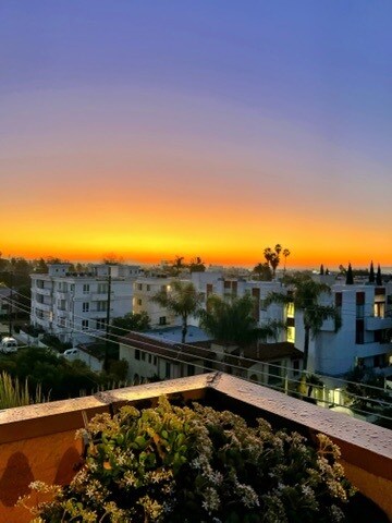 Rooftop view - 869 S Wooster St