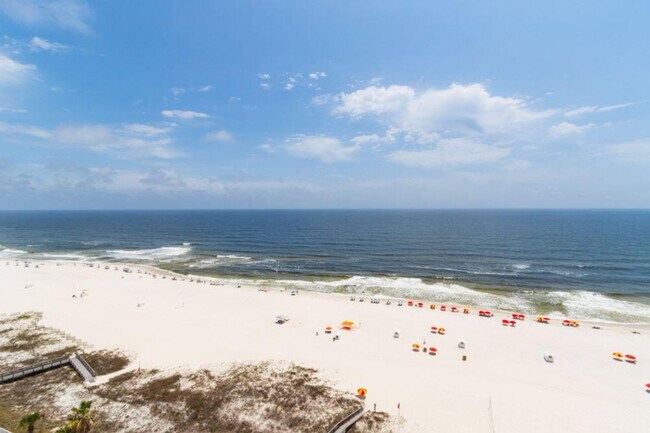 Building Photo - 24770 Perdido Beach Blvd