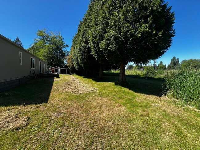 Building Photo - Remodeled 3BD 2BA in Ferndale!