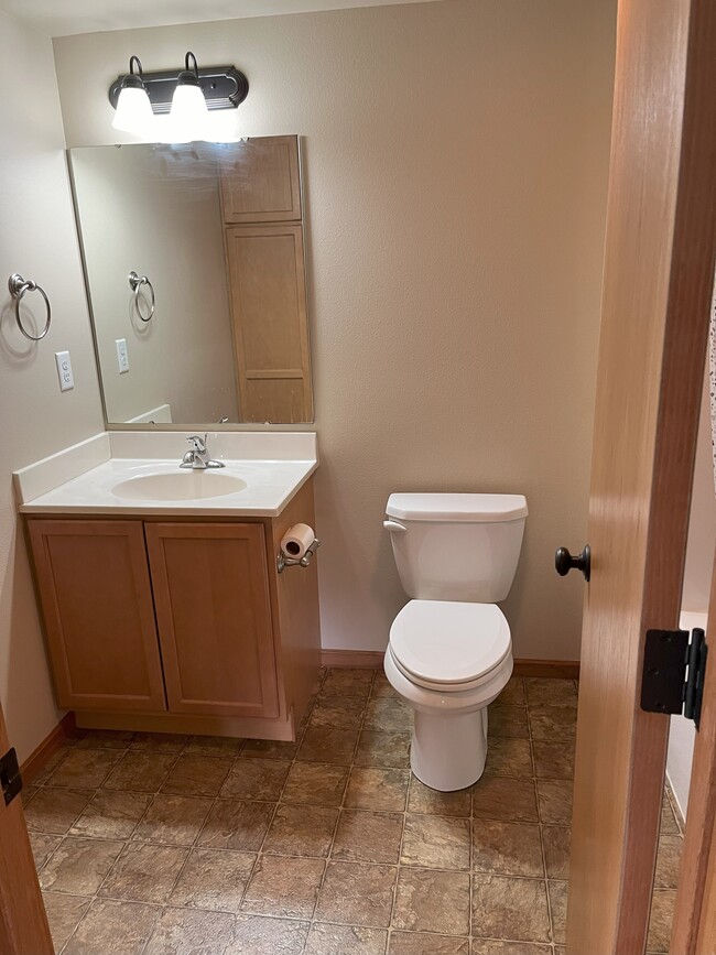 lower level bathroom - 1480 Palisades Dr