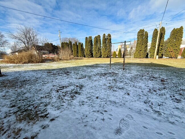 Back Yard - 107 Clark St