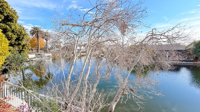 Building Photo - 738 Palmera Ct