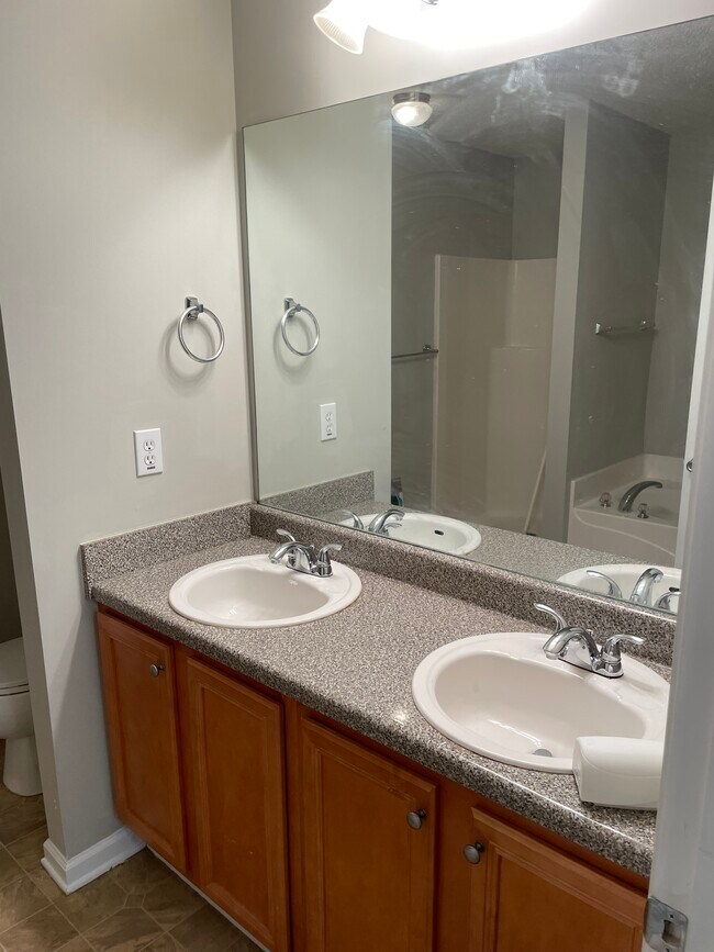MASTER BATH SINKS - 11483 S Glen St