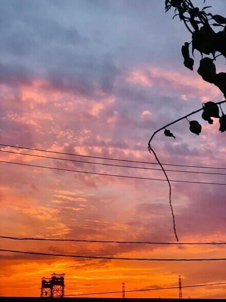 View from Bedroom - 20 Lewis Ave