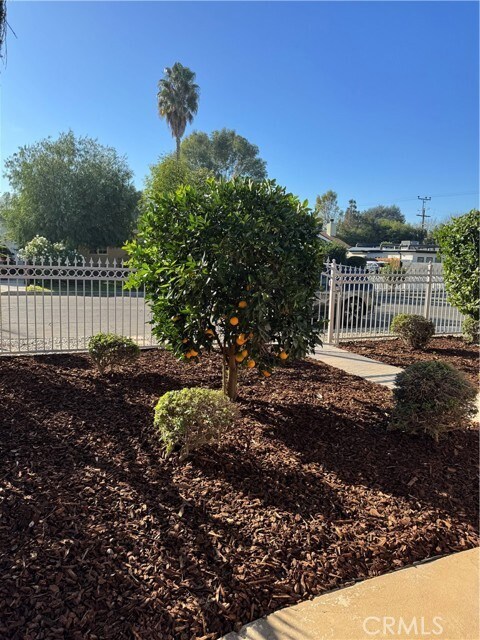 Building Photo - 22445 Dolorosa St