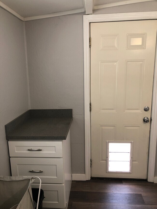 Rear Door has DOGGY DOOR to back yard - 428 Hamilton St
