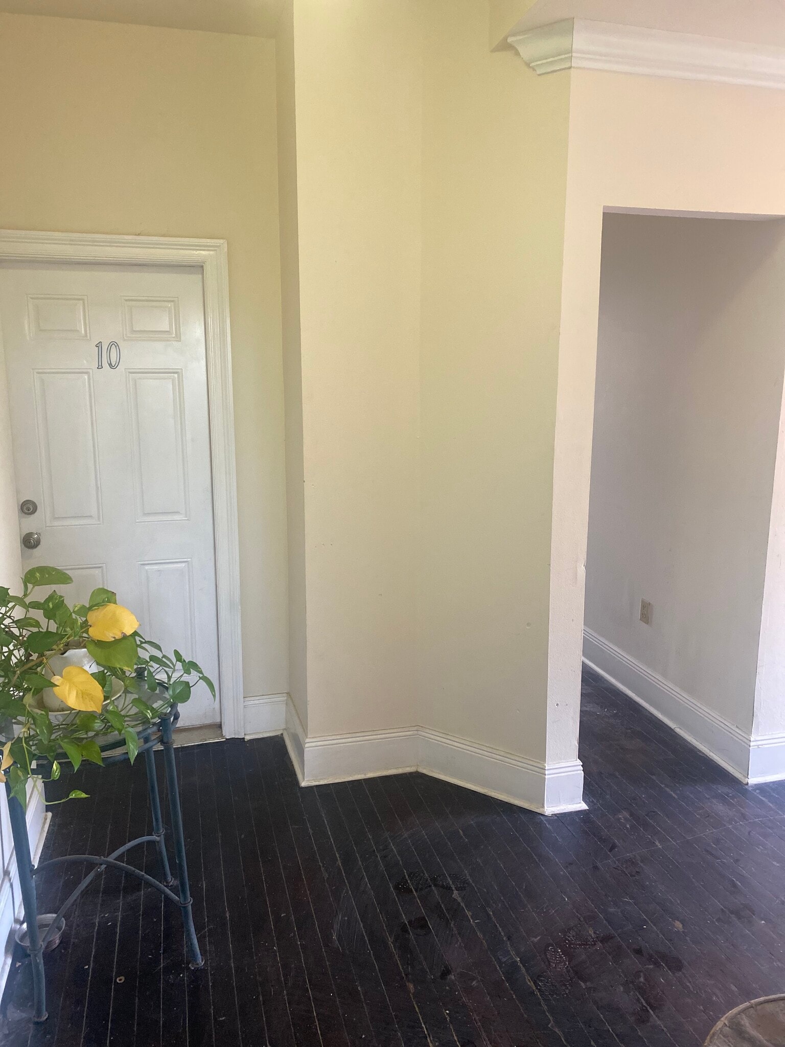 Building Photo - 1808 Elysian Fields Ave