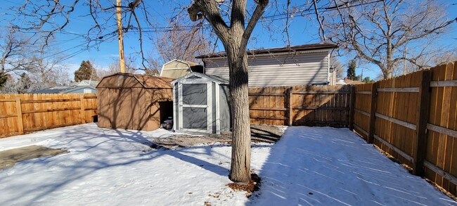 Backyard w/Sheds - 7481 W 46th Ave