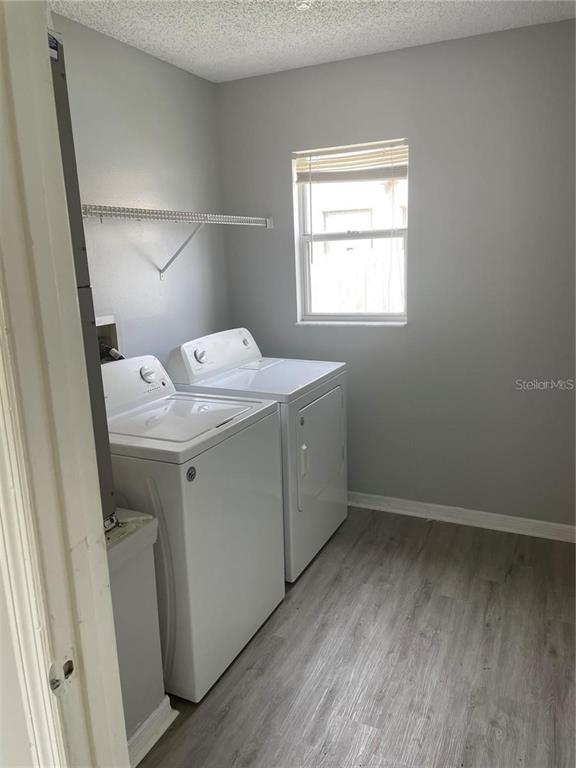 Building Photo - 11836 Newchapel Ct