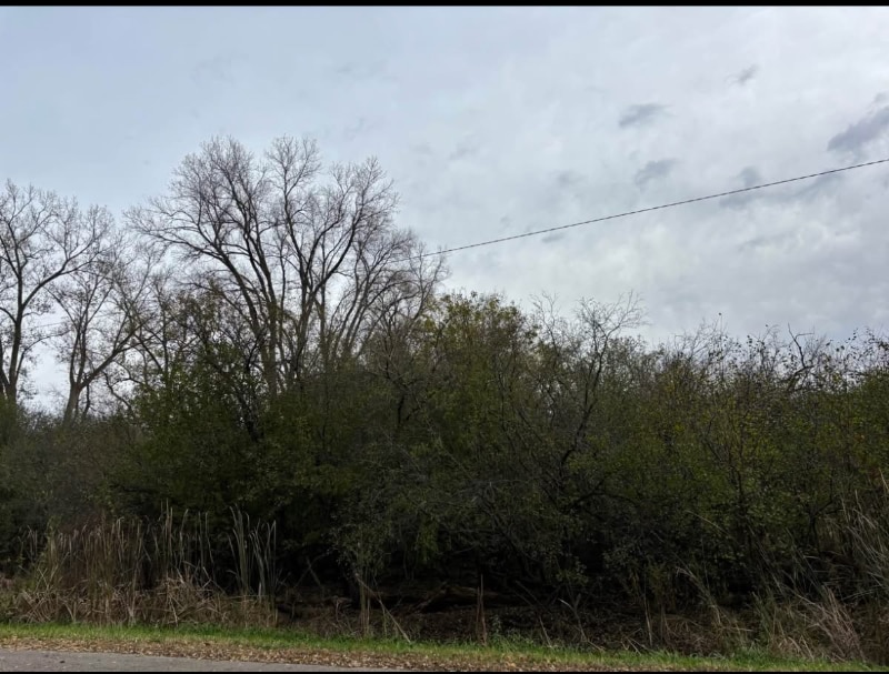 Building Photo - 1802 Martin St