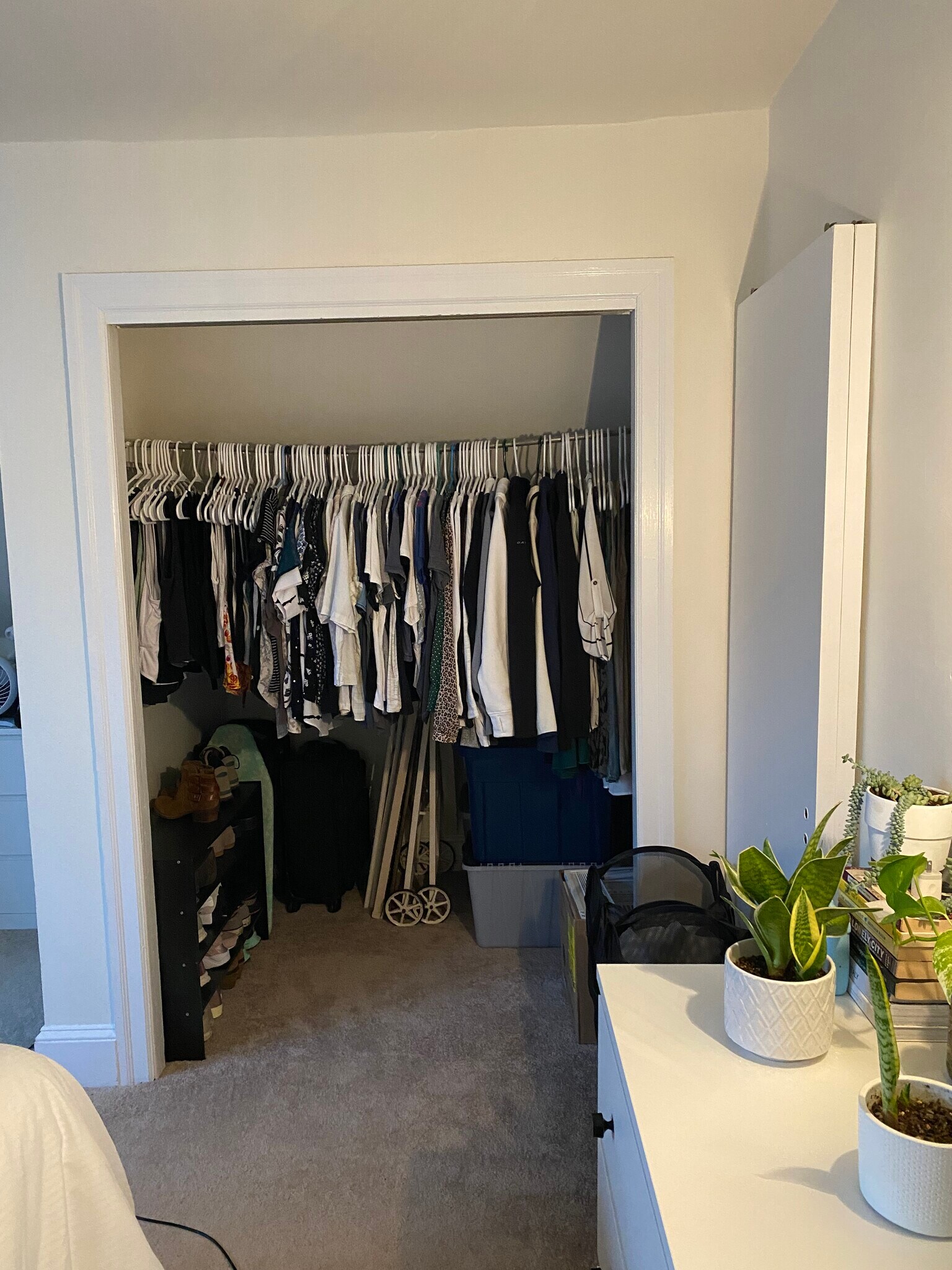 Building Photo - 110 Walnut Ave