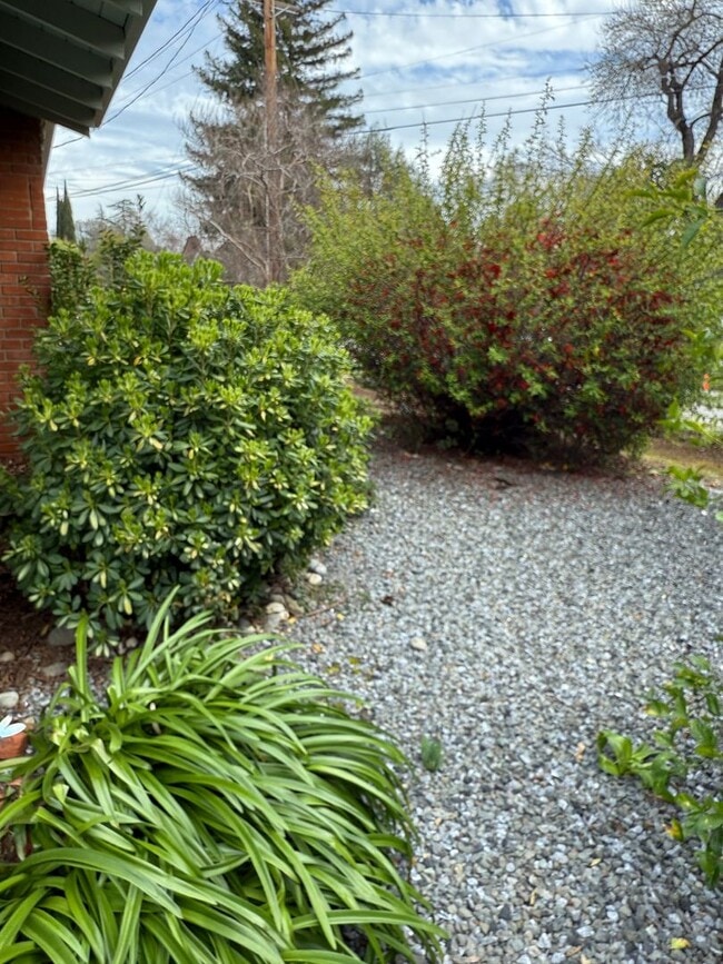 Building Photo - Charming 2-Bedroom Auburn Home with Beautiful Covered Patio!