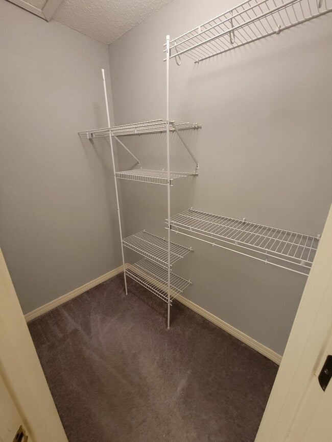 Building Photo - 2734 Rambler Ct