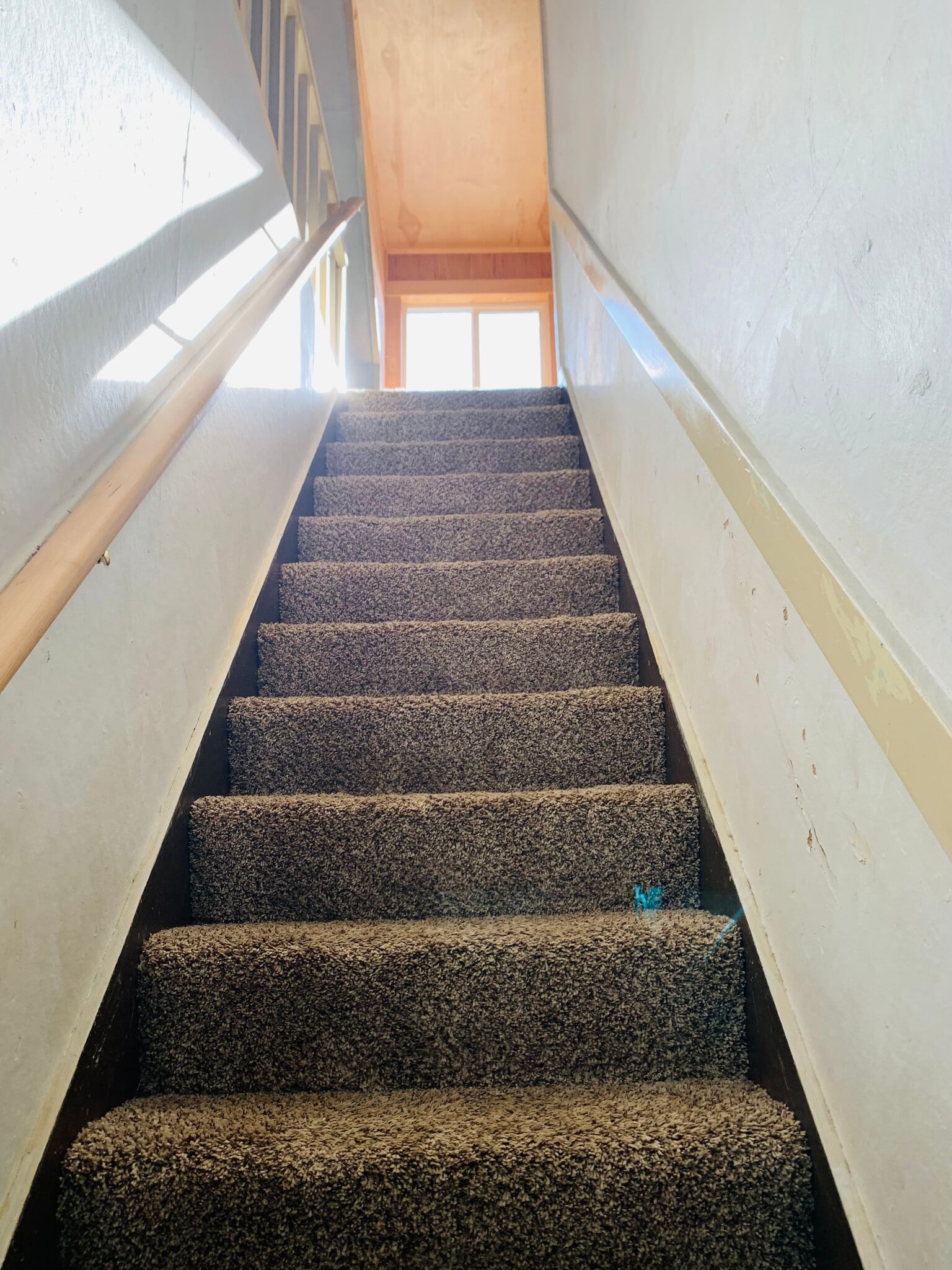 Building Photo - 905 Ferguson Ave