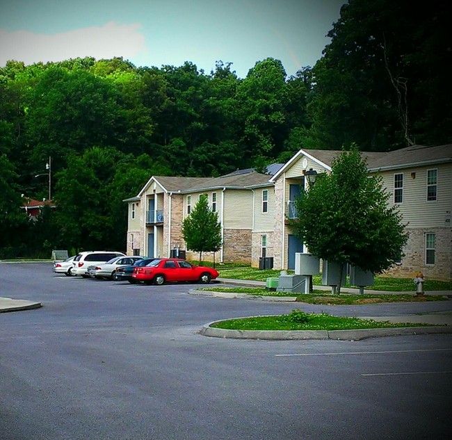 Building Photo - Orleans Terrace Apartments