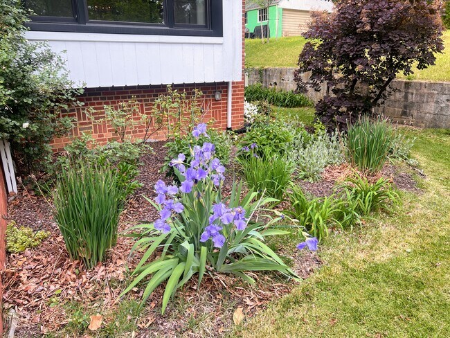 Building Photo - 5602 Hawthorne St