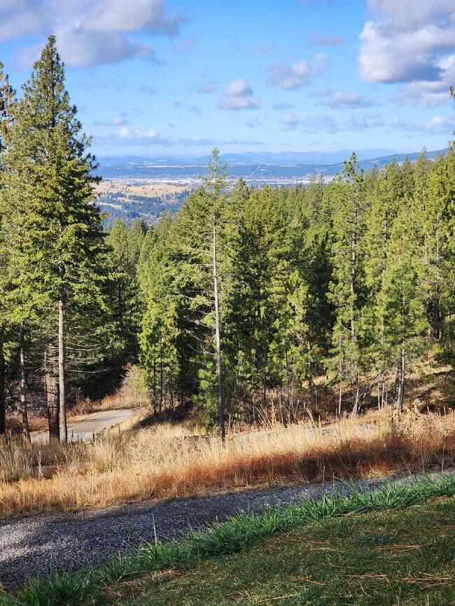 Building Photo - 3BR, 2BTH in Post Falls Above The Fog