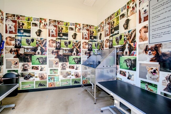 Building Photo - 419 Liberty Pike