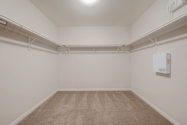 Building Photo - 18703 Cinnamon Ash Ct