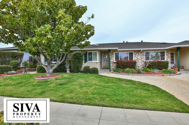 Primary Photo - Almaden Beauty