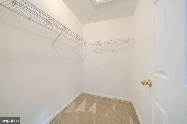 Building Photo - 13538 Tackhouse Ct