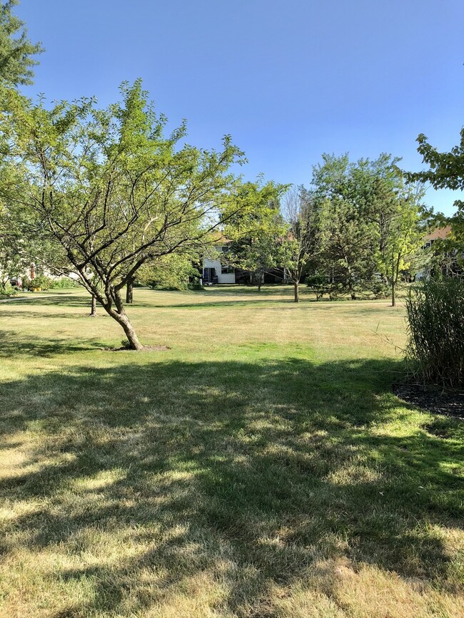 Building Photo - 8856 Northshore Dr