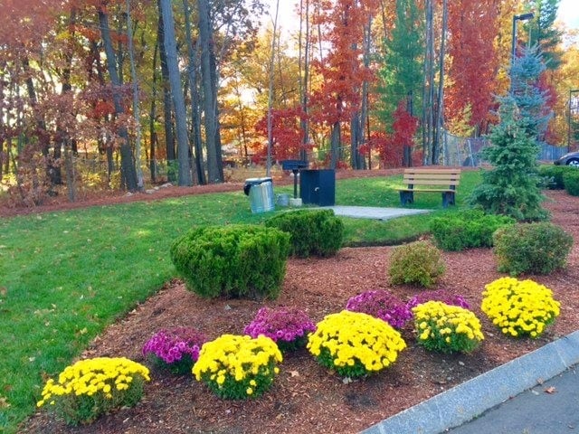 Building Photo - 100 Sentinel Court