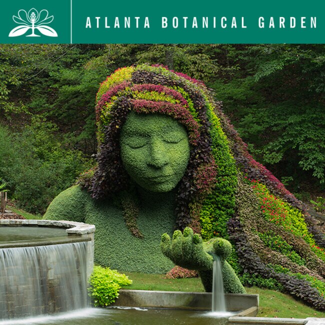 Building Photo - 1156 Piedmont Ave NE