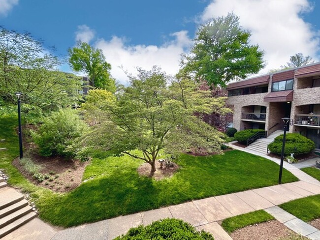 Building Photo - Welcome to your hidden Oasis!