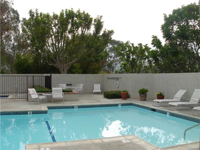 Pool and Spa - 3216 Caminito Eastbluff