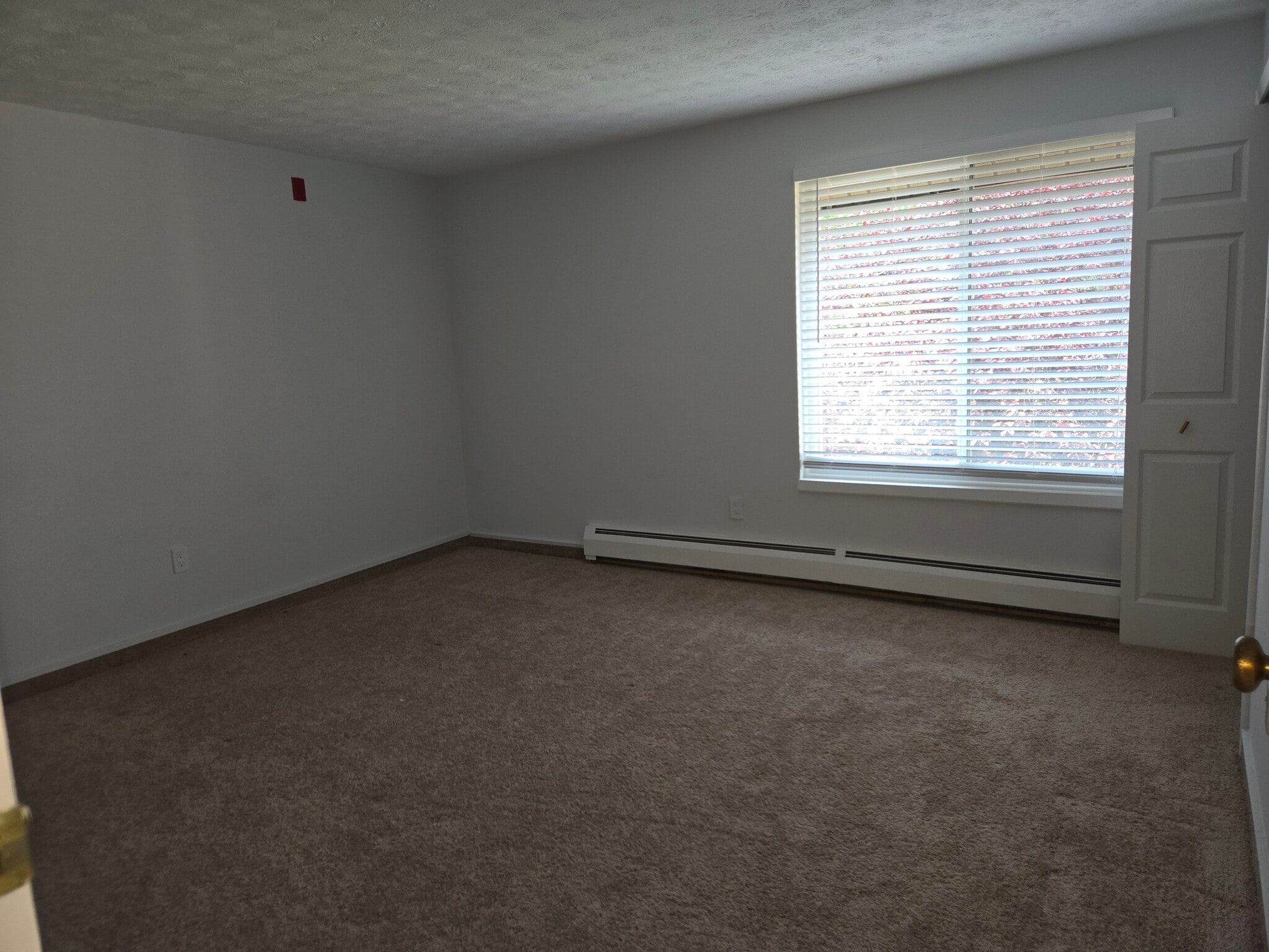 Room - 20 Amato Dr