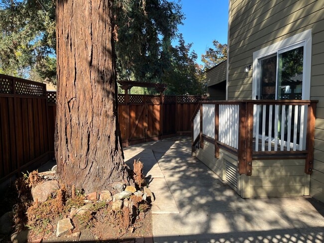 Building Photo - Beautiful 4 Bedroom, 2 Bath Home in Downtown San Jose