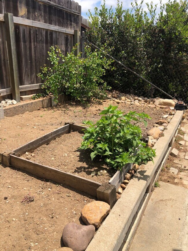 Building Photo - Spacious Single Story 4 bed 2 bath home in Serra Mesa w/2 car garage
