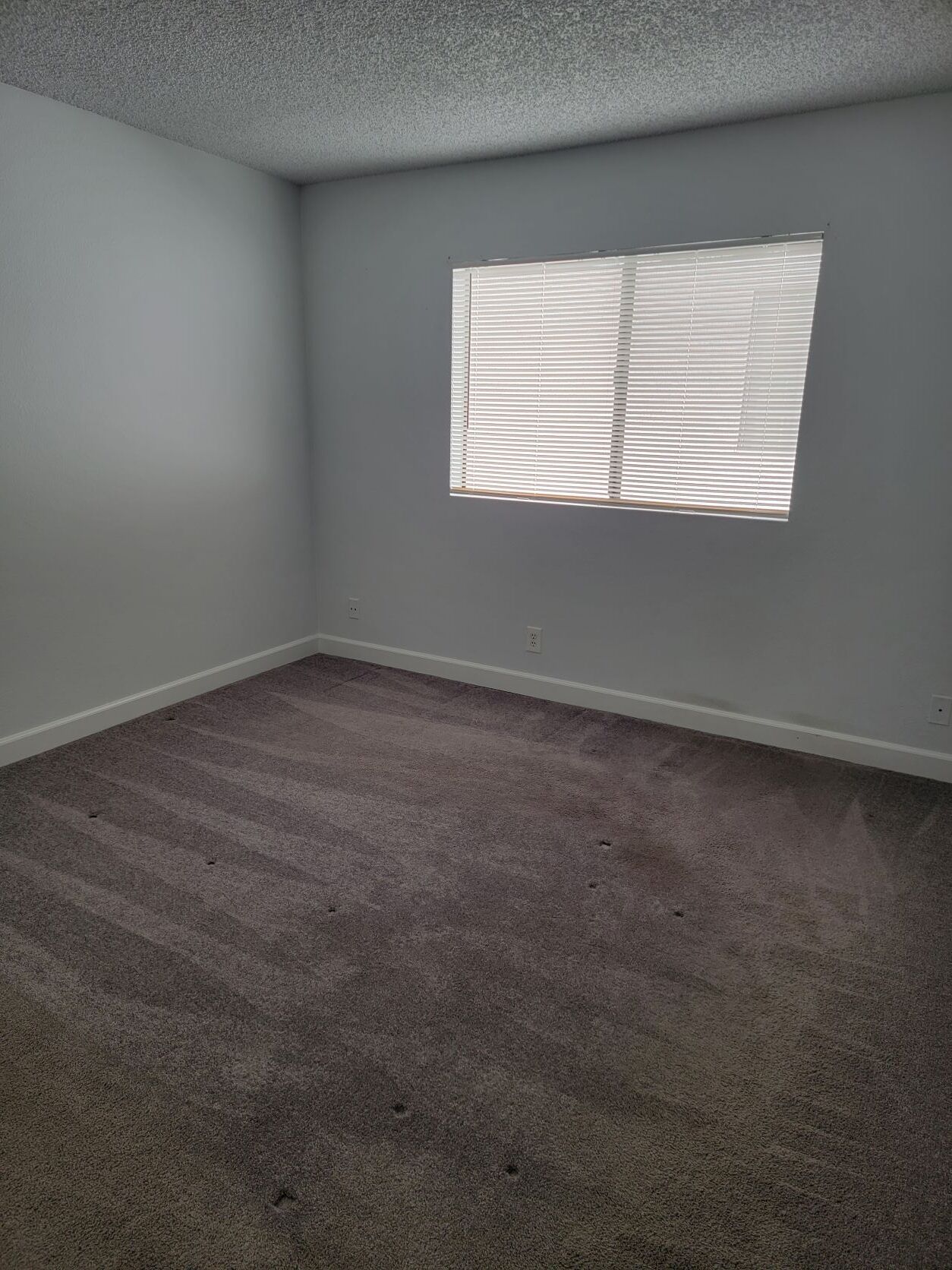 Primary bedroom - 3751 S Canfield Ave