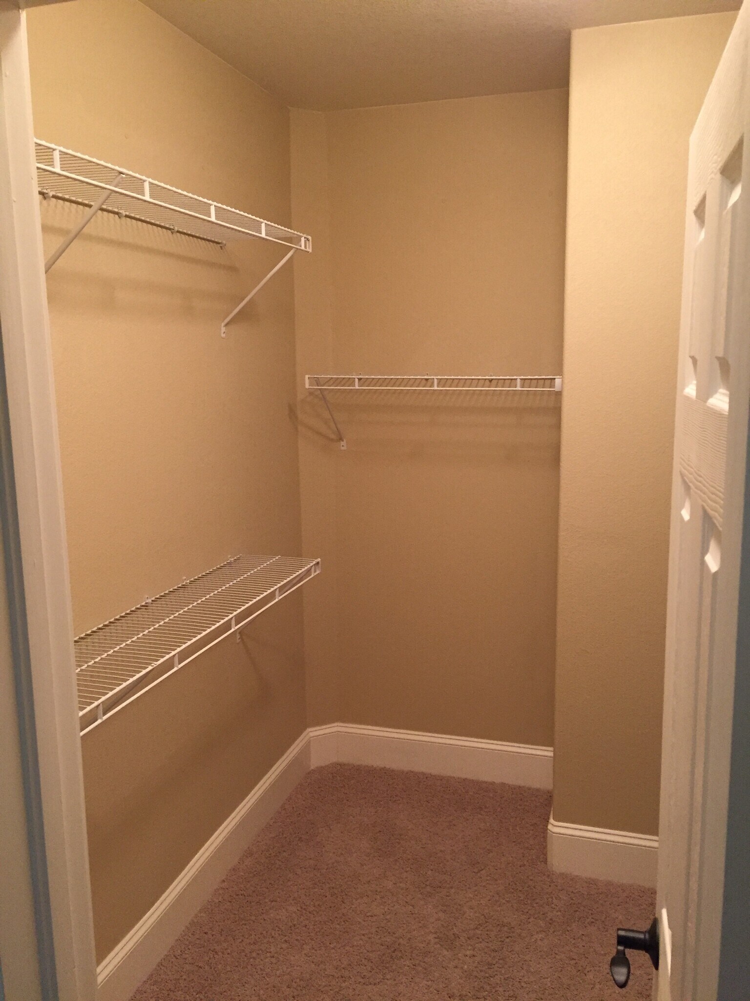 Master walk-in closet - 3635 Reindeer Cir