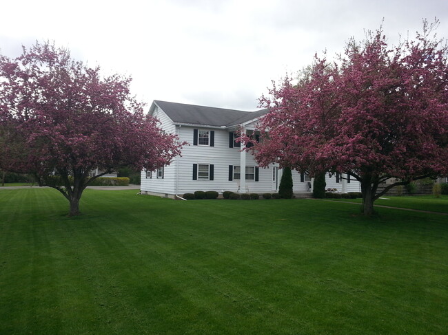 Street View Springtime - 200 Carpenter Rd