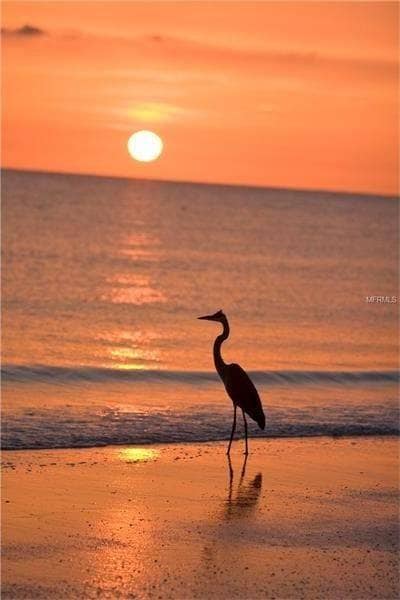 Building Photo - 3013 Pointeview Dr