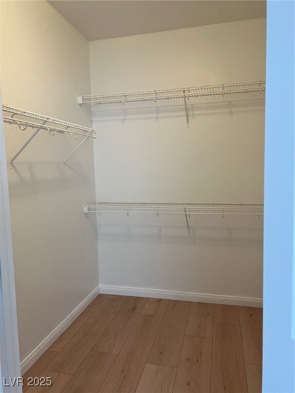 Building Photo - 3105 Kingbird Dr