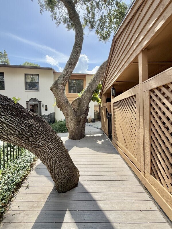 Building Photo - 817 Fairwood Forest Dr