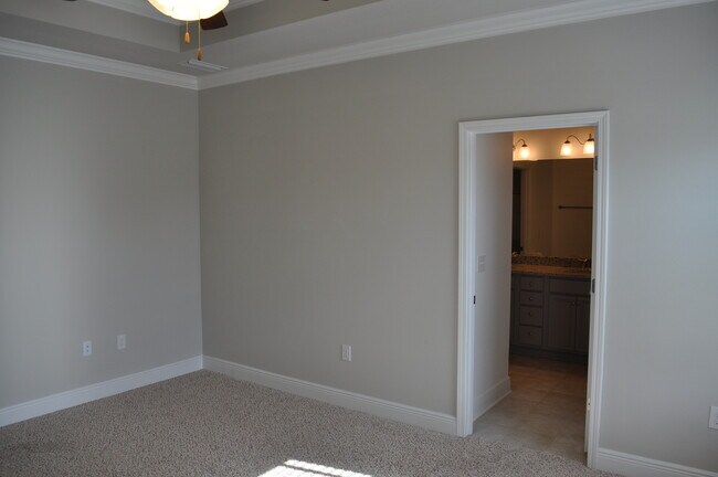 Building Photo - New 3 Bedroom in Driftwood Estates