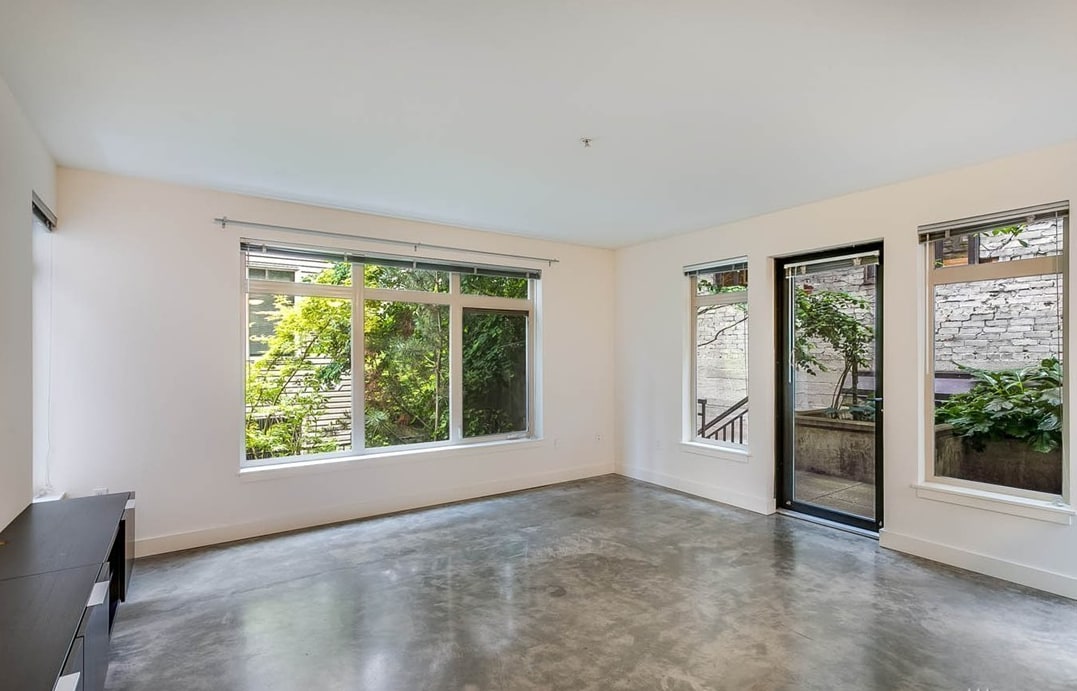 Lots of windows in living room! - 1610 Belmont Ave